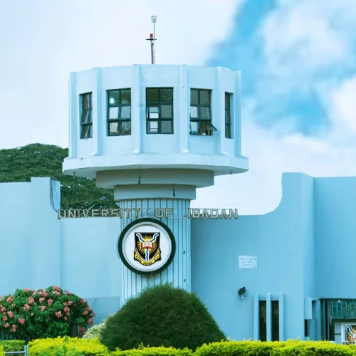 Nigeria must embrace long-acting contraceptives to curb population growth — UI don