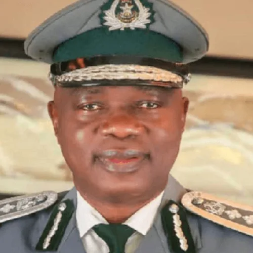 Customs busts wildlife trafficking ring, rescues two lion cubs at Abuja Airport