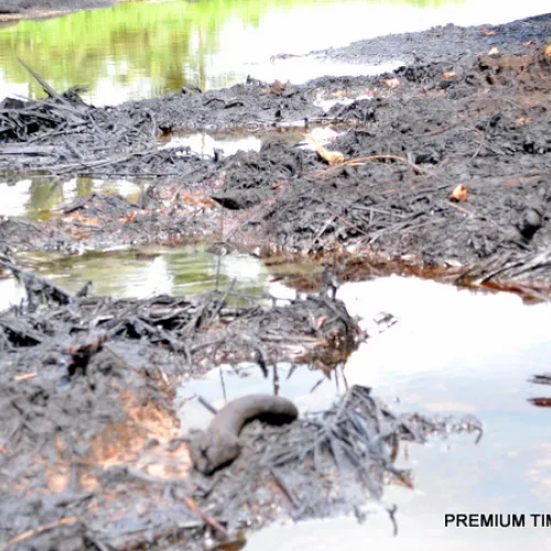Bayelsa, among Nigeria’s most polluted states, says environmentalist