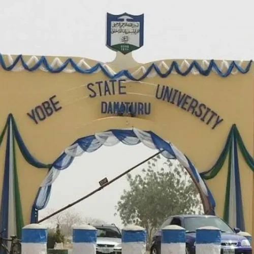 Yobe varsity to make tree planting graduation requirement