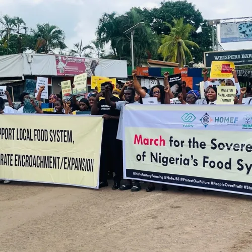 Groups demand suspension of proposed $2.5bn JSB livestock project