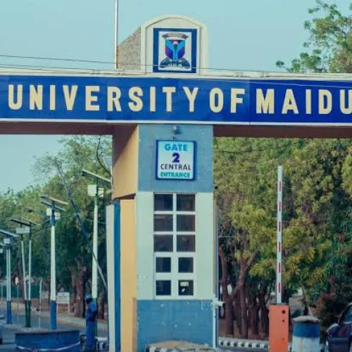 Drug abuse at UNIMAID: Are students getting the message of existing awareness campaign?