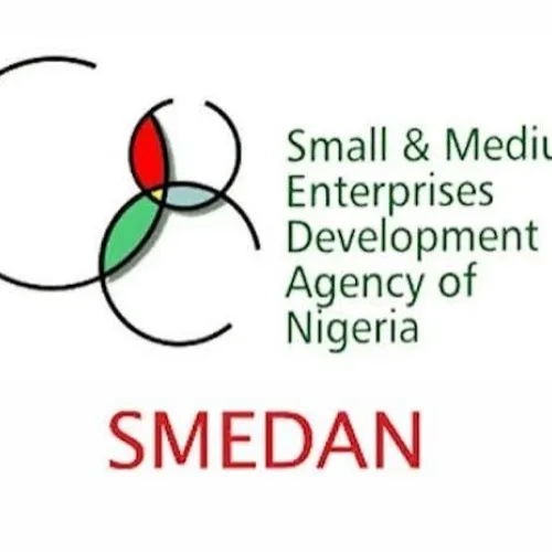 SMEDAN targets 100,000 young entrepreneurs with new programme