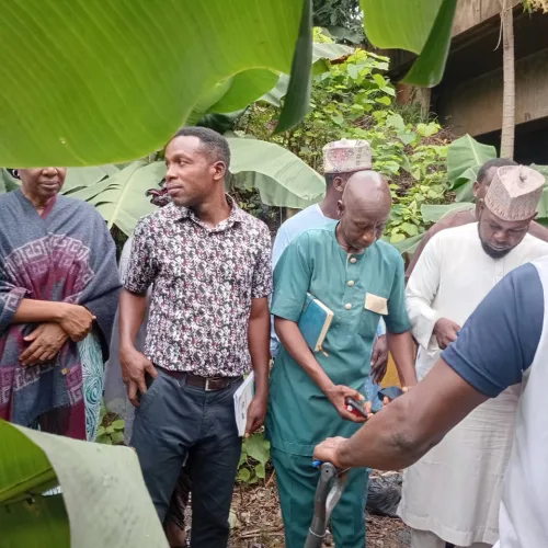 Police arrest suspected Eiye member, recover pistol in Mushin