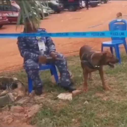 Osun Election: Police Deploy Security Dogs Ahead of Governorship Poll