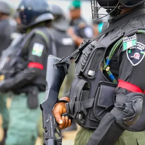 Police arrest 10 over alleged human parts trade in Oyo