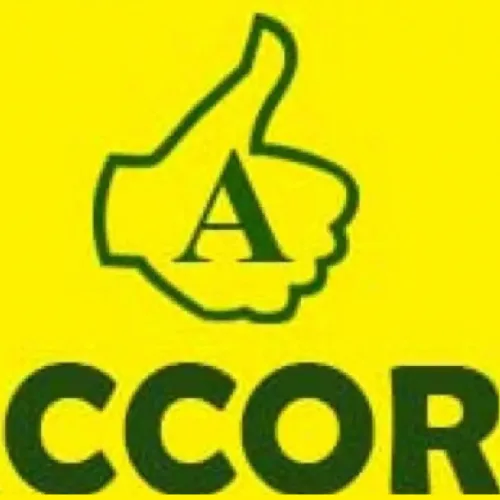 Osun Decides: Osun Accord Raises Concern Over Alleged Fadahunsi’s Movement In Ilesa