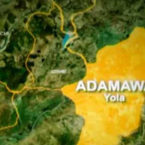 Police nab 27-year-old over fatal hotel stabbing in Adamawa