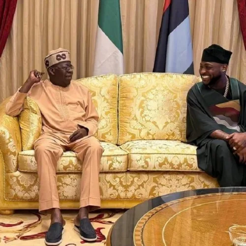#OsunDecides2026: Tinubu is killing democracy, Davido cries out