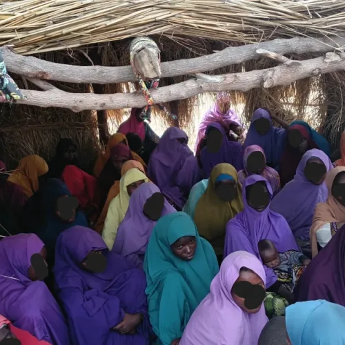 We crave Western education, Borno girls who married as teenagers seek govt support