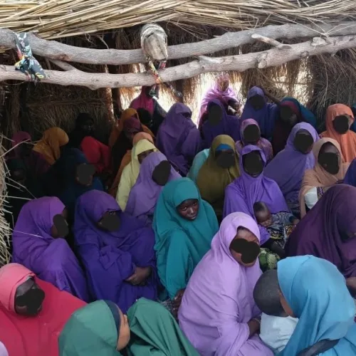 Borno Teenage Brides Appeal for Access to Education