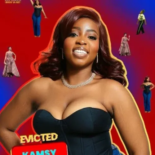 N160m dream ends for Kamsy after BBNaija eviction