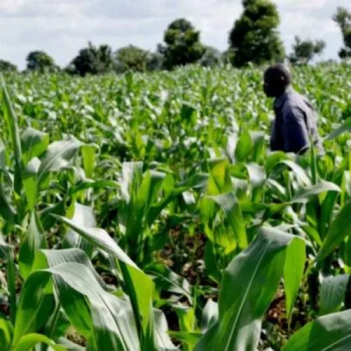 World Energy Council: Why Nigeria’s membership matters
