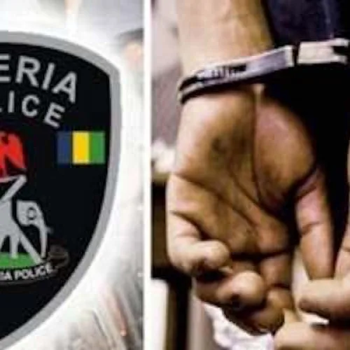 Osun Governorship Poll: 295 Arrested, Two Remain in Custody