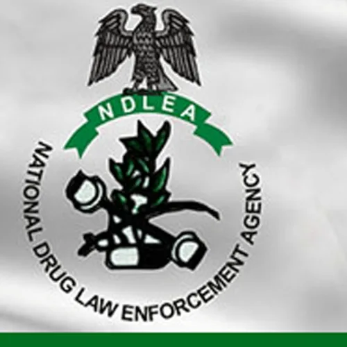 Lagos: NDLEA operatives arrest India- bound businessman with cocaine, recovers N3.6bn drugs 
