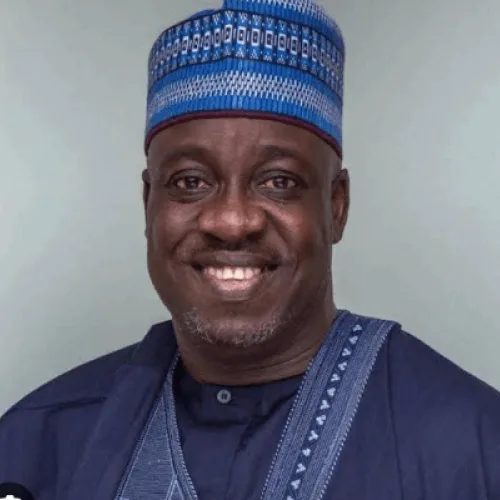 Adeleke’s victory: ADC accuses APC of ‘attempted heist’, demands answers from INEC