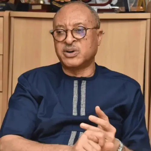 Pat Utomi: Osun Election Shows Voters Can Defeat Rigging