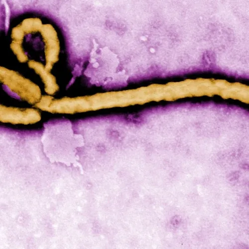 DR Congo Ebola outbreak becomes deadliest with over 2,300 deaths