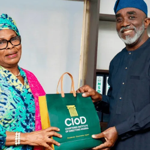 NSDC mobilises $1bn investment pipeline, tightens enforcement