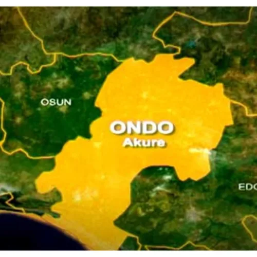 Ondo: 23-Year-Old Man Allegedly Kills Mother With Cutlass
