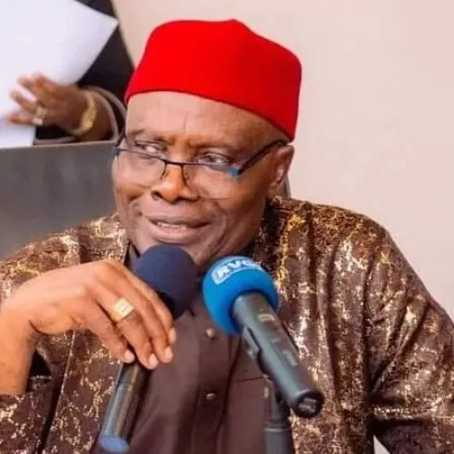 Adeleke’s victory may be APC smokescreen ahead of 2027 — Wabara