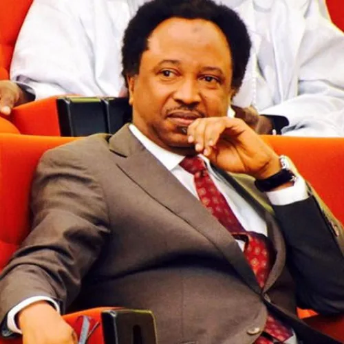 ‘Opposition wants Adeleke to be confrontational with Tinubu’ — Shehu Sani