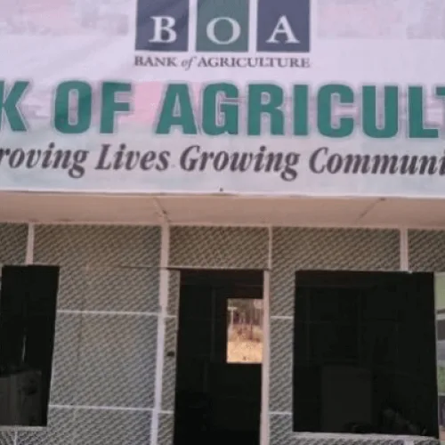 BOA moves to close agricultural gender gap with direct input financing