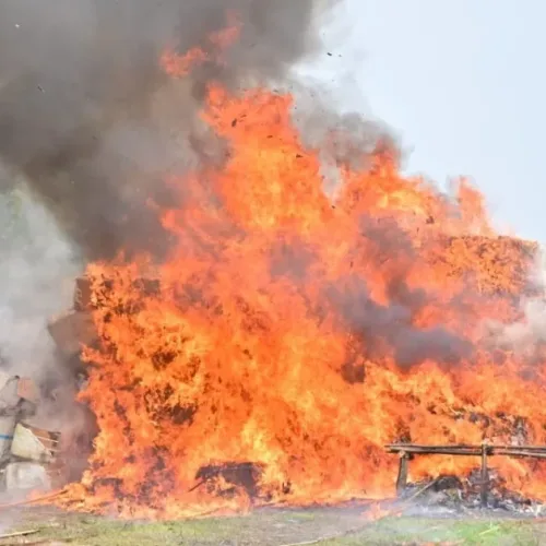 NDLEA destroys N301bn cocaine, heroin, others in Lagos