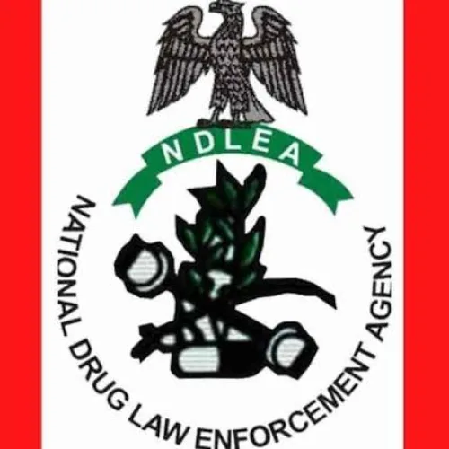 Drug Barons Under Pressure as NDLEA Destroys N301bn Narcotics in Lagos