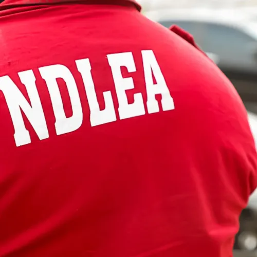 NDLEA Destroys N301bn Assorted Illicit Drugs