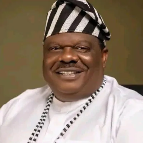 Ukum Attack: Aondoakaa demands urgent action, says Benue tired of counting bodies