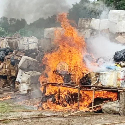 NDLEA destroys N301bn drugs, arrests 10 in Edo