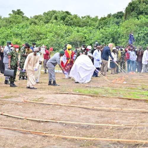 NDLEA destroys N301bn illicit drugs in Lagos