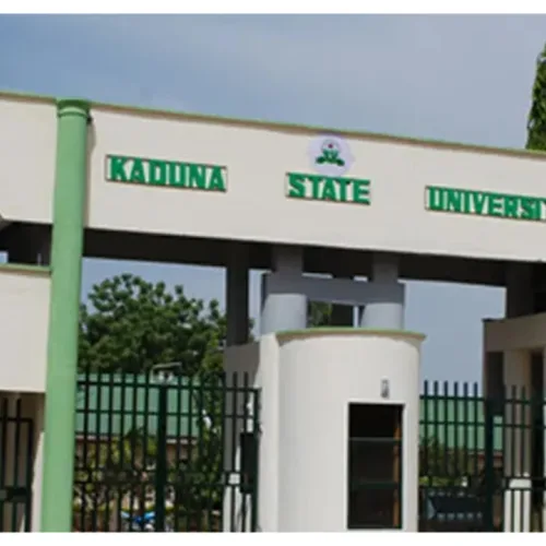 Setback as over 200 lecturers resign in Nigerian university