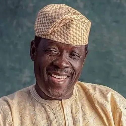 Doctor clarifies palliative care after Ogogo’s daughters claim hospitals refused treatment