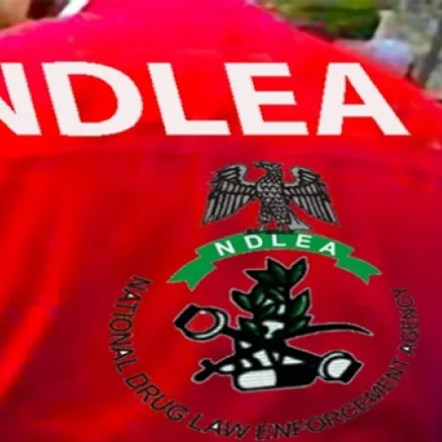 NDLEA vows to crush drug cartels