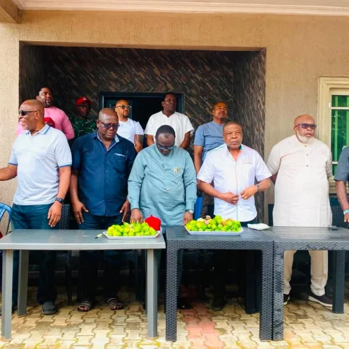 Imo: Ihedioha, others urge ADC members to remain united