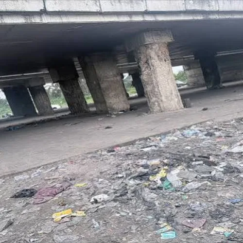 Alakija Bridge: Protecting Public Assets Is Collective Duty