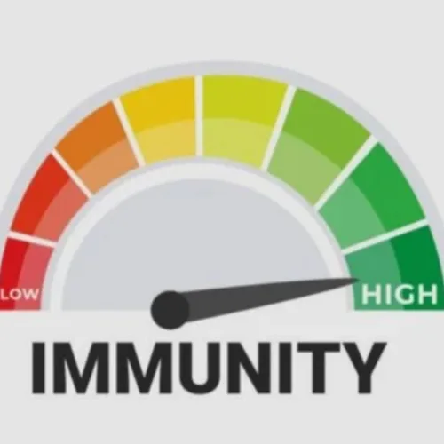 5 Nigerian foods that can help support healthy immune system 