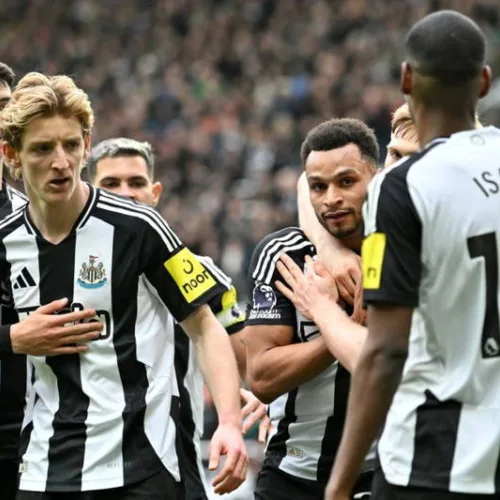 Newcastle complete £30m move for Benfica’s Dedic