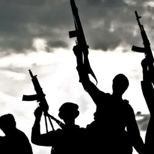 Gunmen K!ll Police Inspector, Seven Others in Adamawa