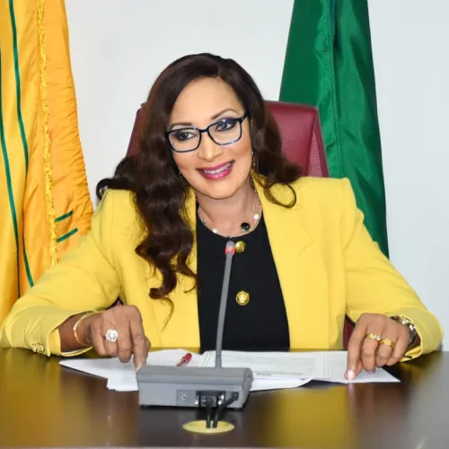 FG evacuates 83 more Nigerians from South Africa amid renewed anti-immigrant tensions
