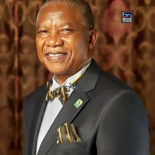 Ohuabunwa commended for contributions to pharmacy, national dev’t