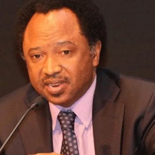 Adeleke-Tinubu Alliance Win-Win For Osun, Says Shehu Sani