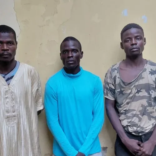 Police kill two bandits, arrest 11 suspects in Sokoto