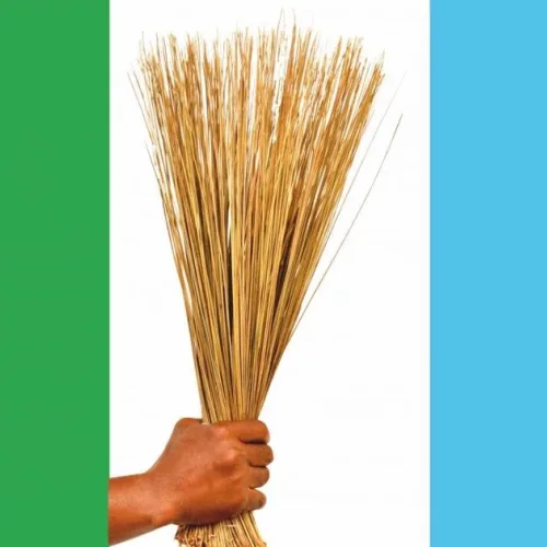 APC Sets August 22 for Legislative Primaries