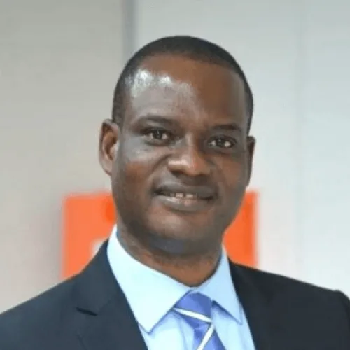 Wages, debt servicing gulp N18.8trn govt spending — Oyedele