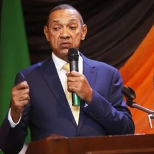 Murray-Bruce: Tinubu Needs More ‘Mad Men’ In His Govt