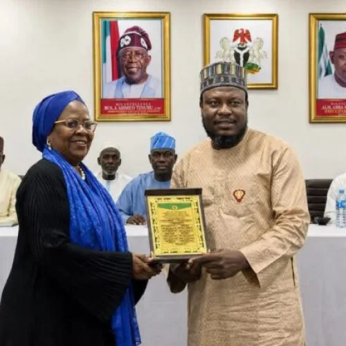 ENGAUSA CEO bags award over contribution to Kano’s orange economy