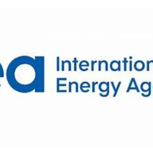IEA: LPG crisis threatens Africa’s clean cooking progress